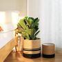 Pack Of Two Flower Planter Storage Containers, thumbnail 1 of 12