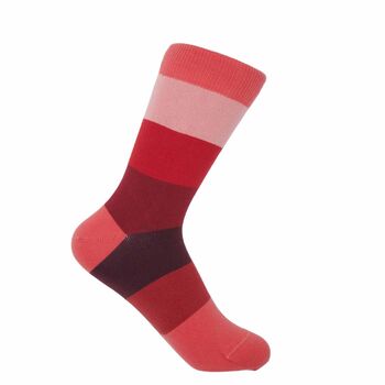 Block Stripe Women’s Socks Gift Box, 6 of 6