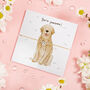 Golden Retriever Paw Bracelet, thumbnail 1 of 5