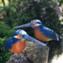 Hand Painted Metal Kingfisher, thumbnail 6 of 7
