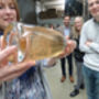 English Wine Tour With Travel From London, thumbnail 2 of 7