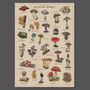 British Mushroom Artwork/Fungi Illustration Print, thumbnail 4 of 11
