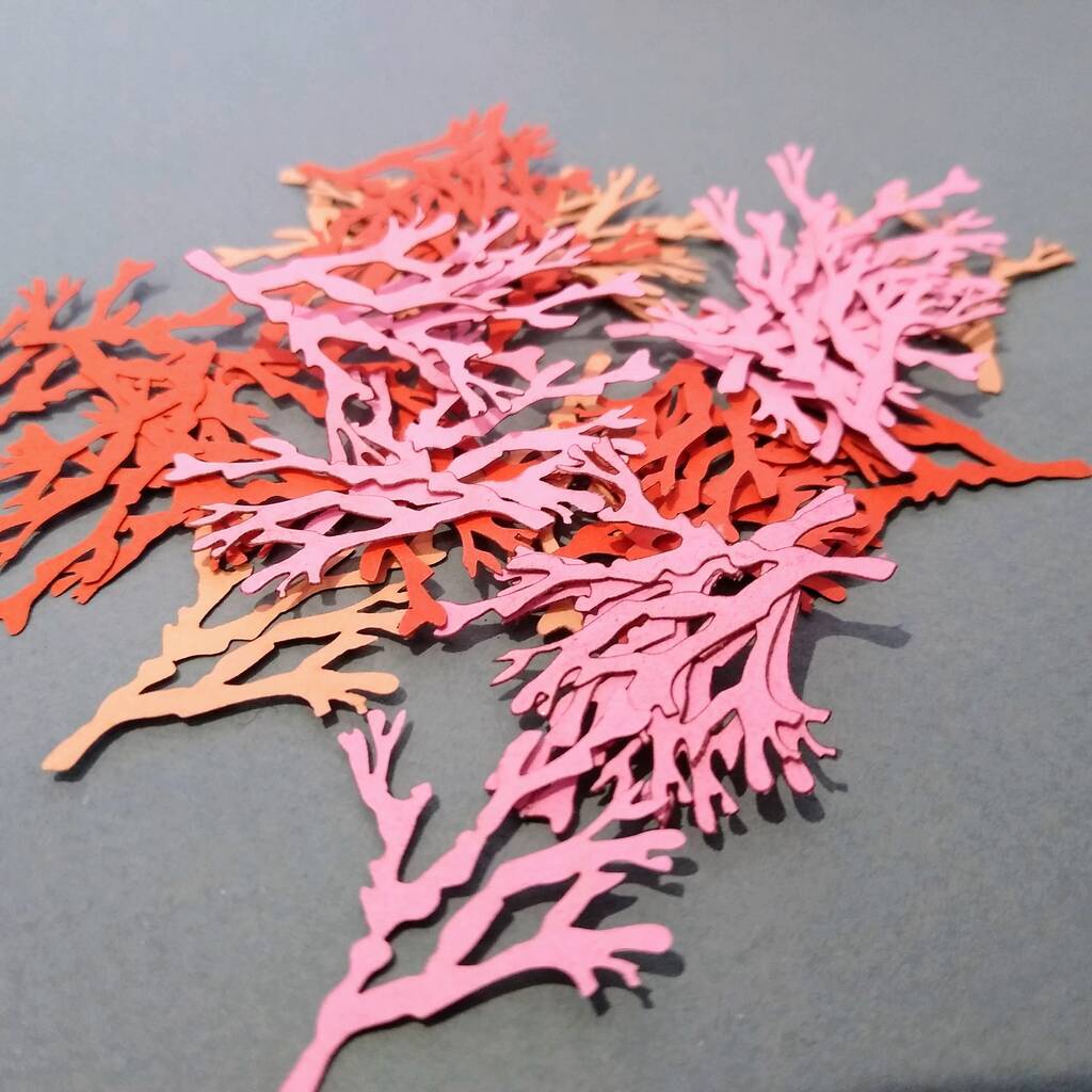 Paper Coral Confetti