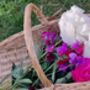 Flower And Herb Trug, thumbnail 4 of 6
