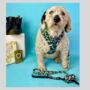 Camouflage Dog Poo Bag Holder, thumbnail 7 of 7