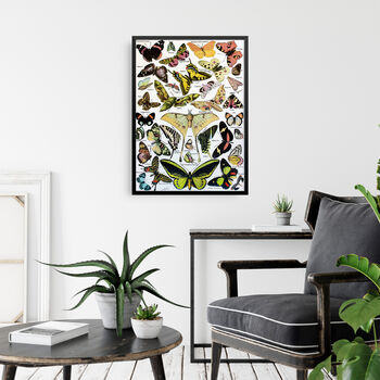 Butterflies Moths Scientific Vintage Wall Art Print, 3 of 4