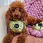 Zesty Butter Meadows Floral Dog Harness, thumbnail 5 of 8