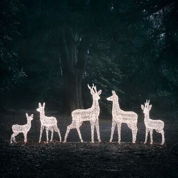 Set Of Five Swinsty Dual LED Light Up Reindeer, 6 of 6