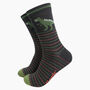 T Rex Dinosaurs Men's Bamboo Socks Gift Box, thumbnail 4 of 4