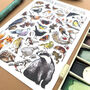 Gardens Wildlife Of Britain Watercolour Postcard, thumbnail 8 of 11