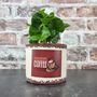 Retro Coffee Houseplant Pot Gift Surprise Plant, thumbnail 9 of 10