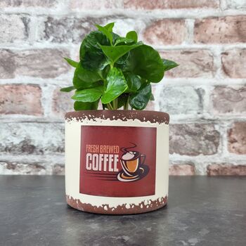 Retro Coffee Houseplant Pot Gift Surprise Plant, 9 of 10
