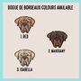 Dogue De Bordeaux Keyring, thumbnail 5 of 6