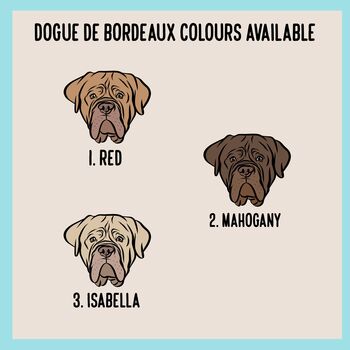 Dogue De Bordeaux Keyring, 5 of 6