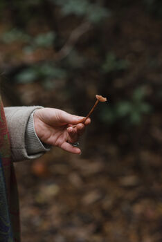 Foraging Experience Walk For Two In The South Downs, 5 of 12