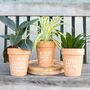 Love Grows Here Terracotta Plant Pot Gift, thumbnail 3 of 3