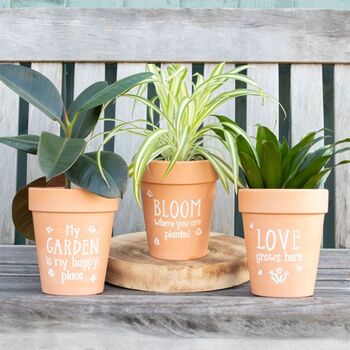 Love Grows Here Terracotta Plant Pot Gift, 3 of 3