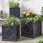 Monviso Black Embossed Planter, thumbnail 1 of 7