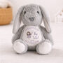 Personalised Big Sister Fairy Bunny Gift, thumbnail 4 of 6