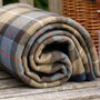 Oval Ravenstor Chiller Picnic Hamper Basket, thumbnail 3 of 5