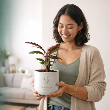 Personalised 9th Anniversary Plant Pot With Plant, 6 of 9