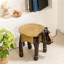 Elephant Design Brass And Mango Table Plant Stand, thumbnail 4 of 5