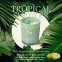 Pure Soy Scented Candles Infused With Crystals, thumbnail 5 of 7