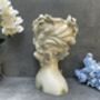 26cm Grey Green Ladies Head Plant Pot With Pink Flowers, thumbnail 12 of 12