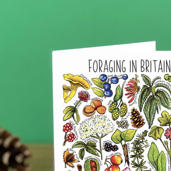 Foraging Plants Of Britain Greeting Card, 5 of 7