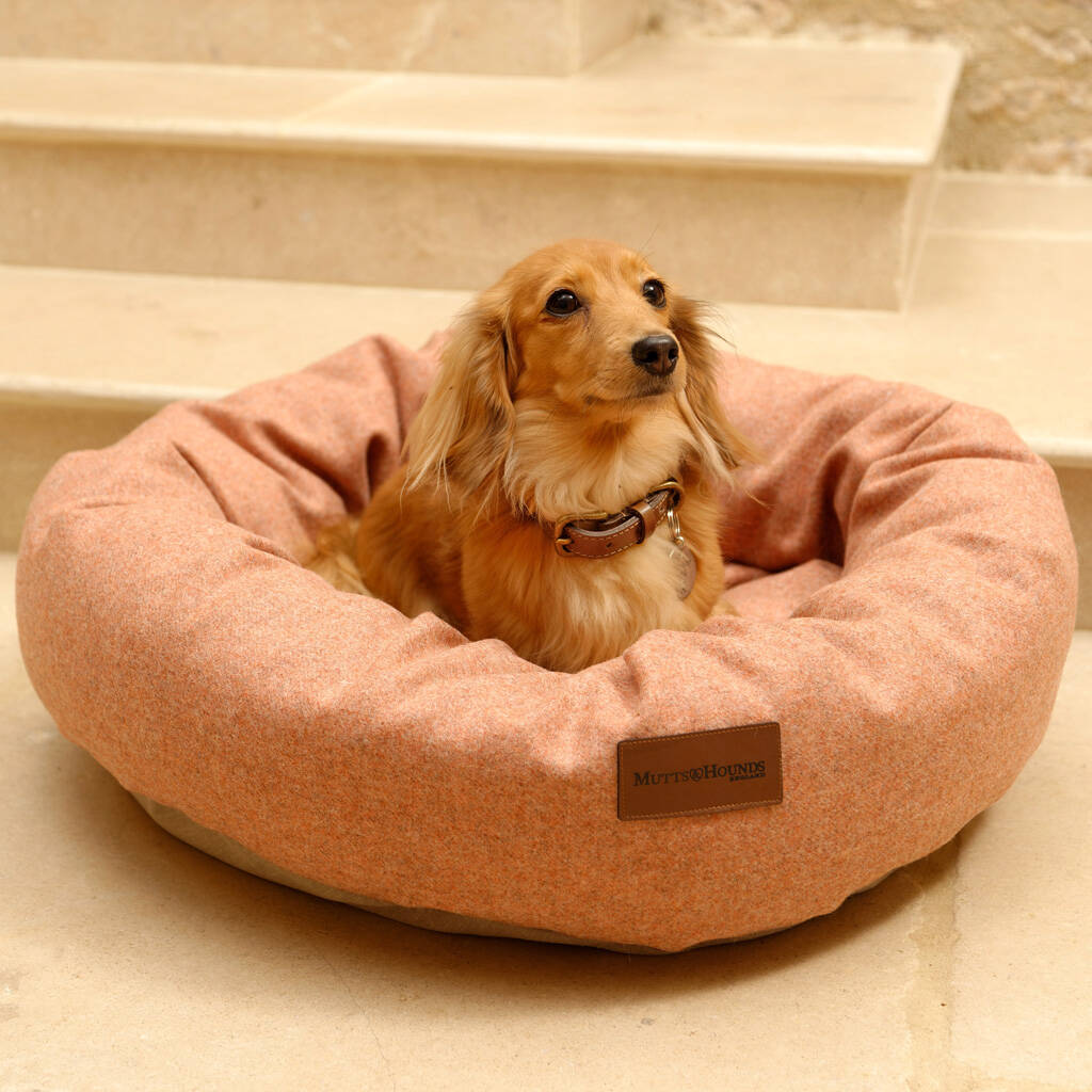 Luxury Sandstone Tweed Donut Dog Beds, 1 of 2