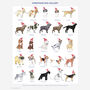Personalised Dog Breed Family Christmas Pyjamas, thumbnail 3 of 5