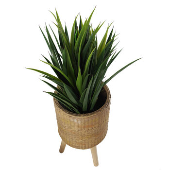 Rattan Effect Composite Planter With Stand, 5 of 12