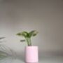Personalised Name Plant Pot With Optional Inner Pot, thumbnail 7 of 8