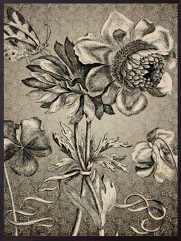 Antique Floral Vanilla Fly Poster 70 X 100, 3 of 3