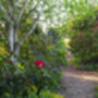 R.H.S Garden Hyde Hall Entrance For Two, thumbnail 6 of 11