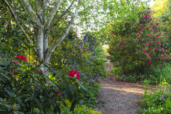 R.H.S Garden Hyde Hall Entrance For Two, 6 of 11