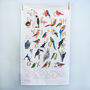 'Avian Alphabet' Illustrated Bird Tea Towel, thumbnail 3 of 3