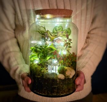 Large Diy Terrarium Kit With Three Plants And Moss Plant Lover Gift, 4 of 11