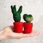 Easy Care Cactus Felt Craft Kit, thumbnail 8 of 10