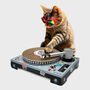 Cat Scratch Dj Turntable, thumbnail 1 of 6