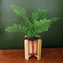 Gold Ceramic Planter Bamboo Stand Plant Pot, thumbnail 1 of 2