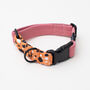 Pink Orange Terrazzo • Padded Dog Collar, thumbnail 2 of 7