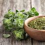 Herb Plants Oregano Three X 9cm Pots, thumbnail 1 of 5
