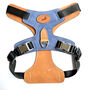 Blue Leather Dog Harness, thumbnail 1 of 6