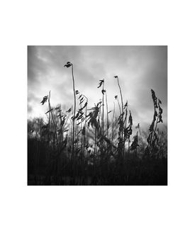 Winter Decay, Suffolk Photographic Art Print, 3 of 4