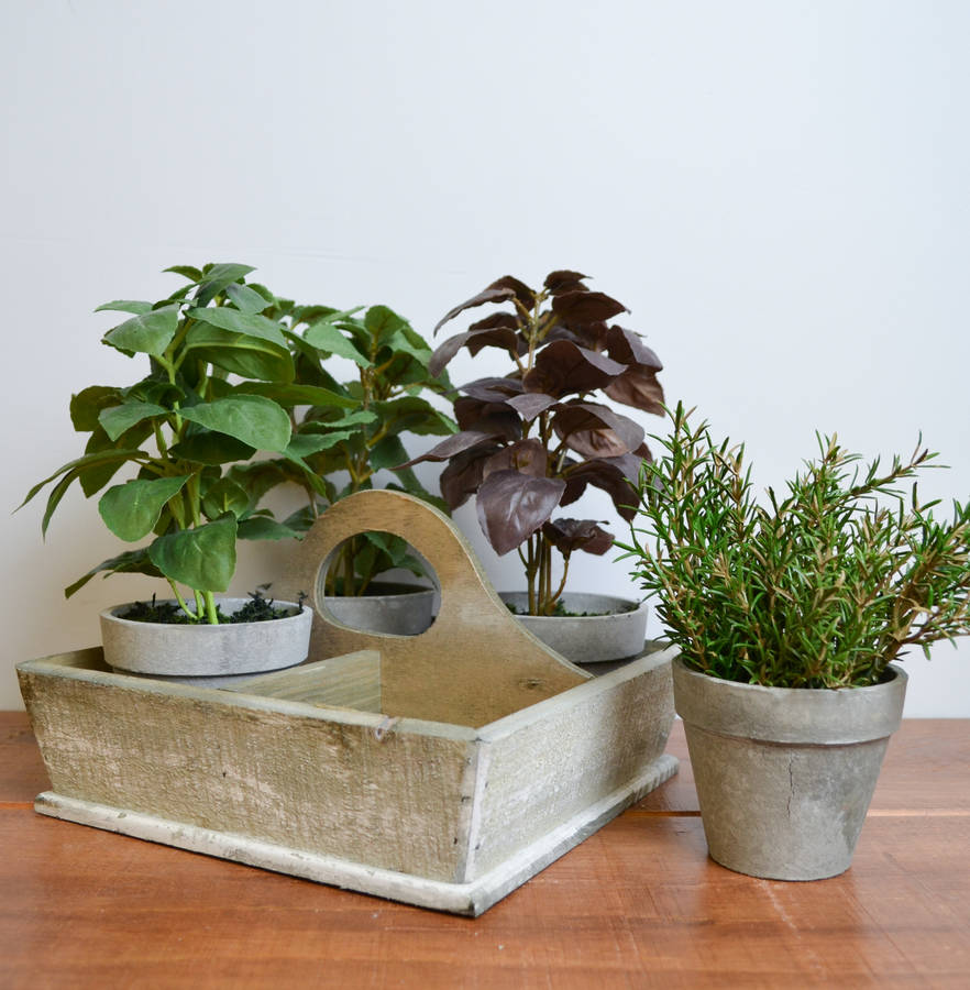 Faux Herb Pots  Set Of Four By The Orchard 