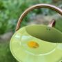 Lemon And Lime Green And Copper Trim Watering Can Duo, thumbnail 3 of 9