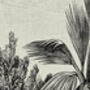 Vintage Monochrome Tropical Wall Hanging, thumbnail 4 of 5