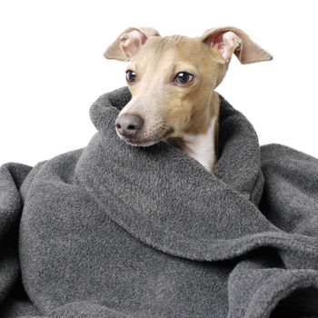 Luxury Double Fleece Pet Blanket, 5 of 7