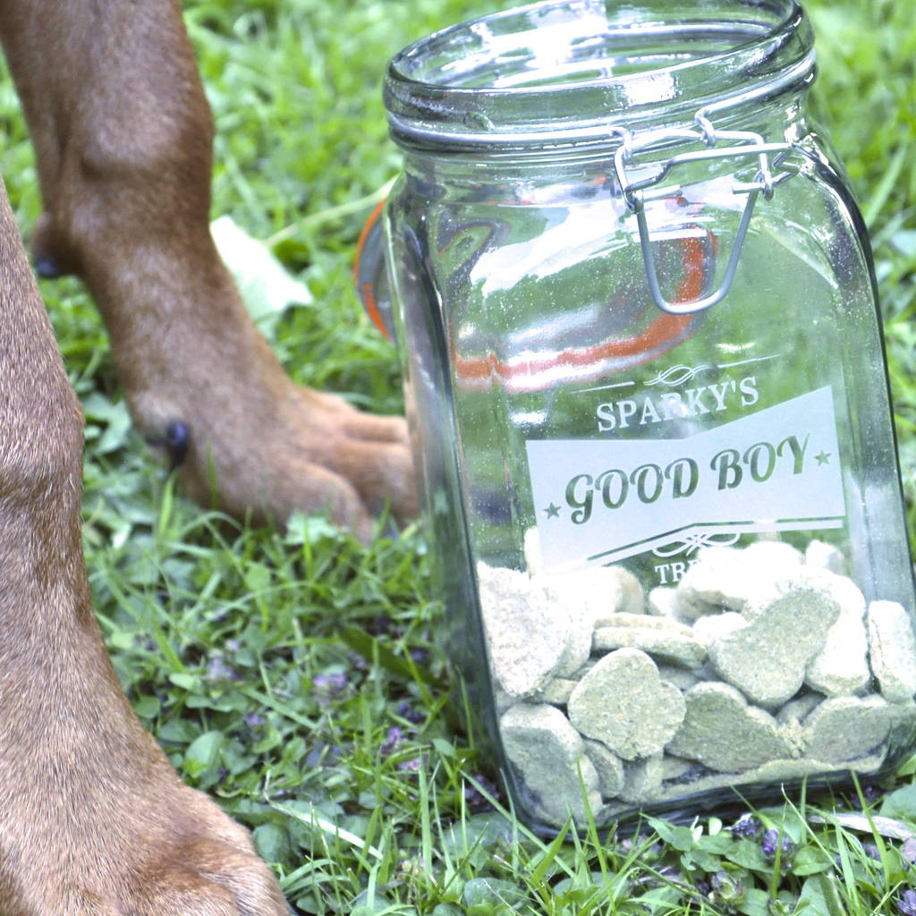 Kilner dog 2024 treat jar